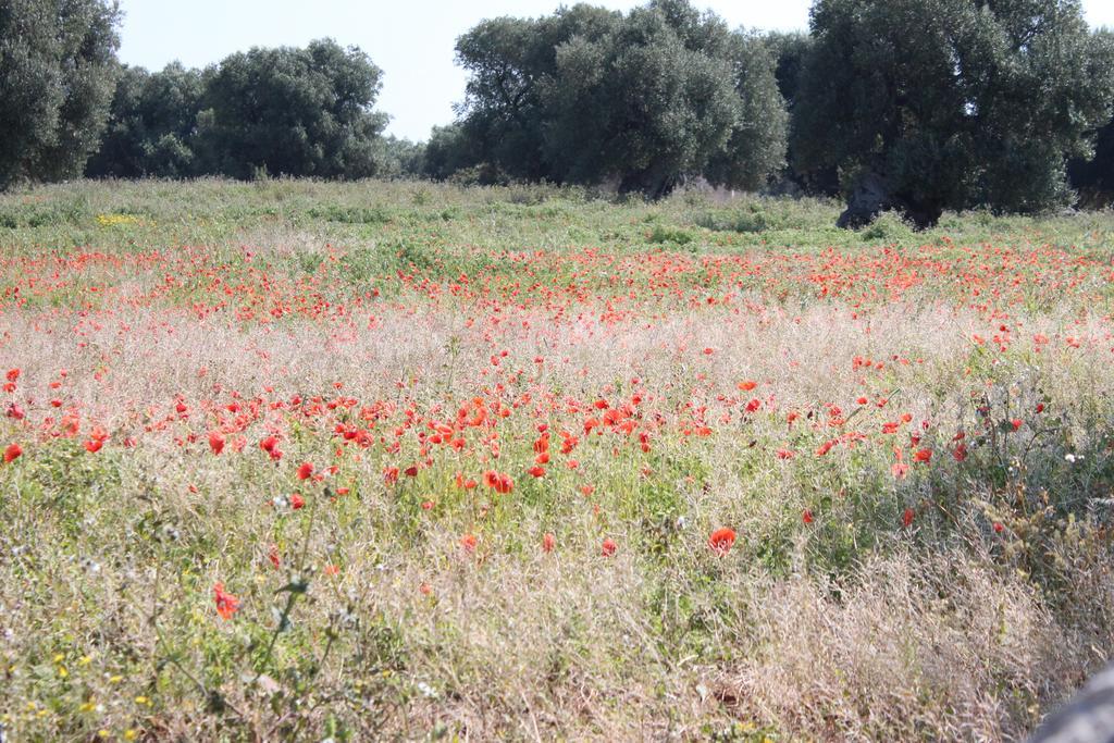 Masseria Valente オストゥーニ エクステリア 写真